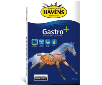 Havens Gastro+ 20kg